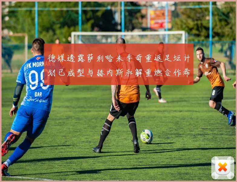 德媒透露萨利哈米季奇重返足坛计划已成型与赫内斯和解重燃合作希望
